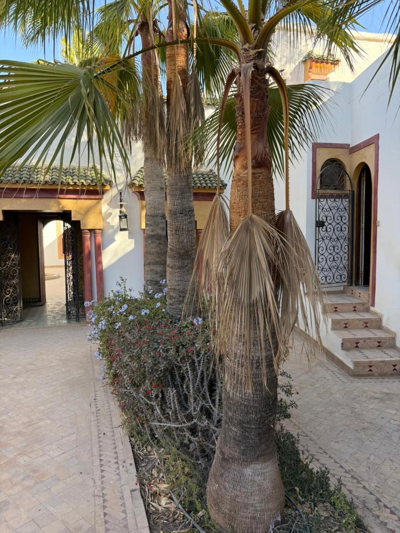 Hotel Tawala Surf Experience, Riad Tawala Tamraght Zewnętrze zdjęcie